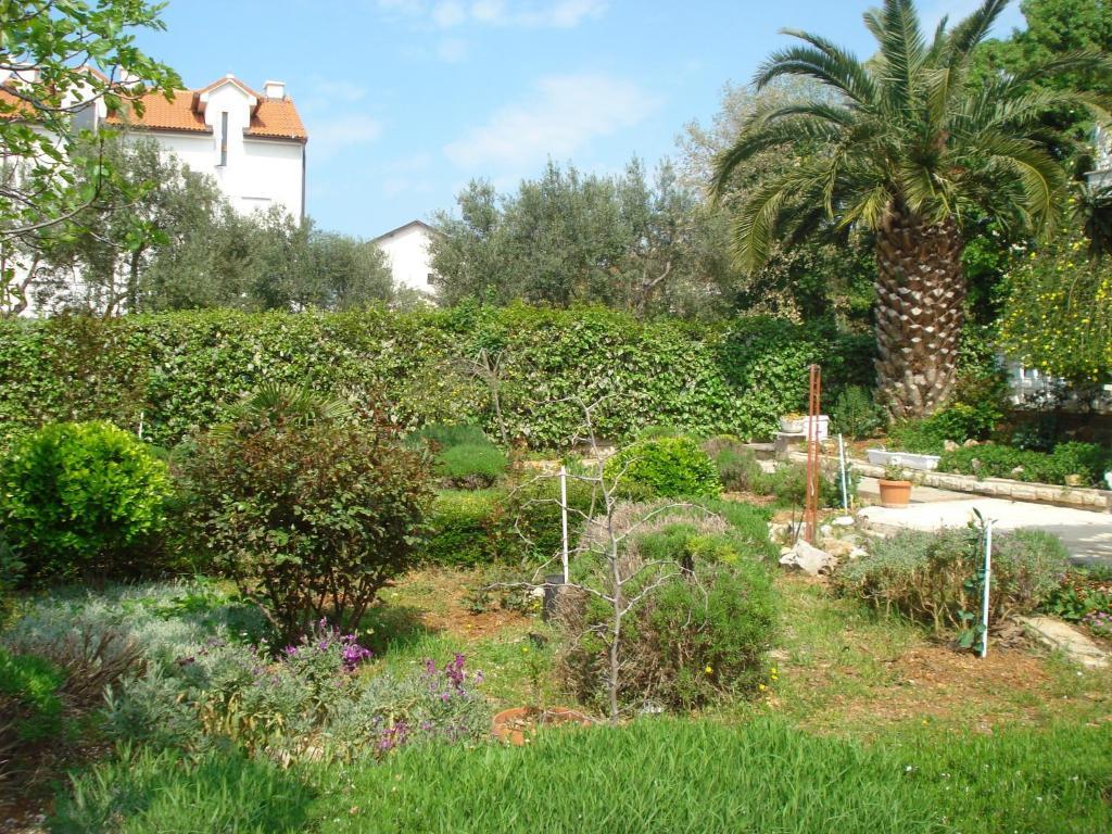 Apartments Labor Vodice Rom bilde